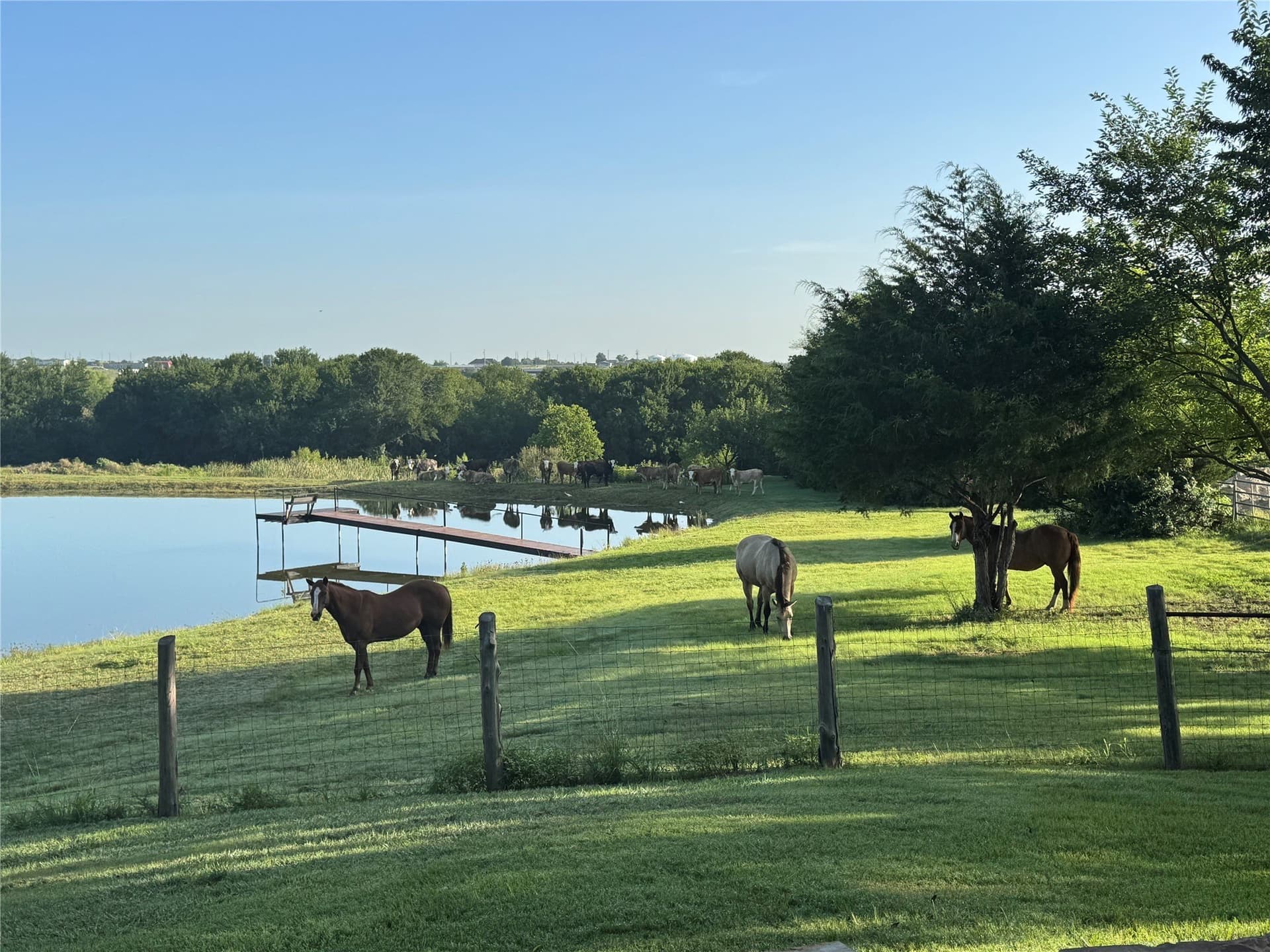 18 acres in Collin County - photo 32