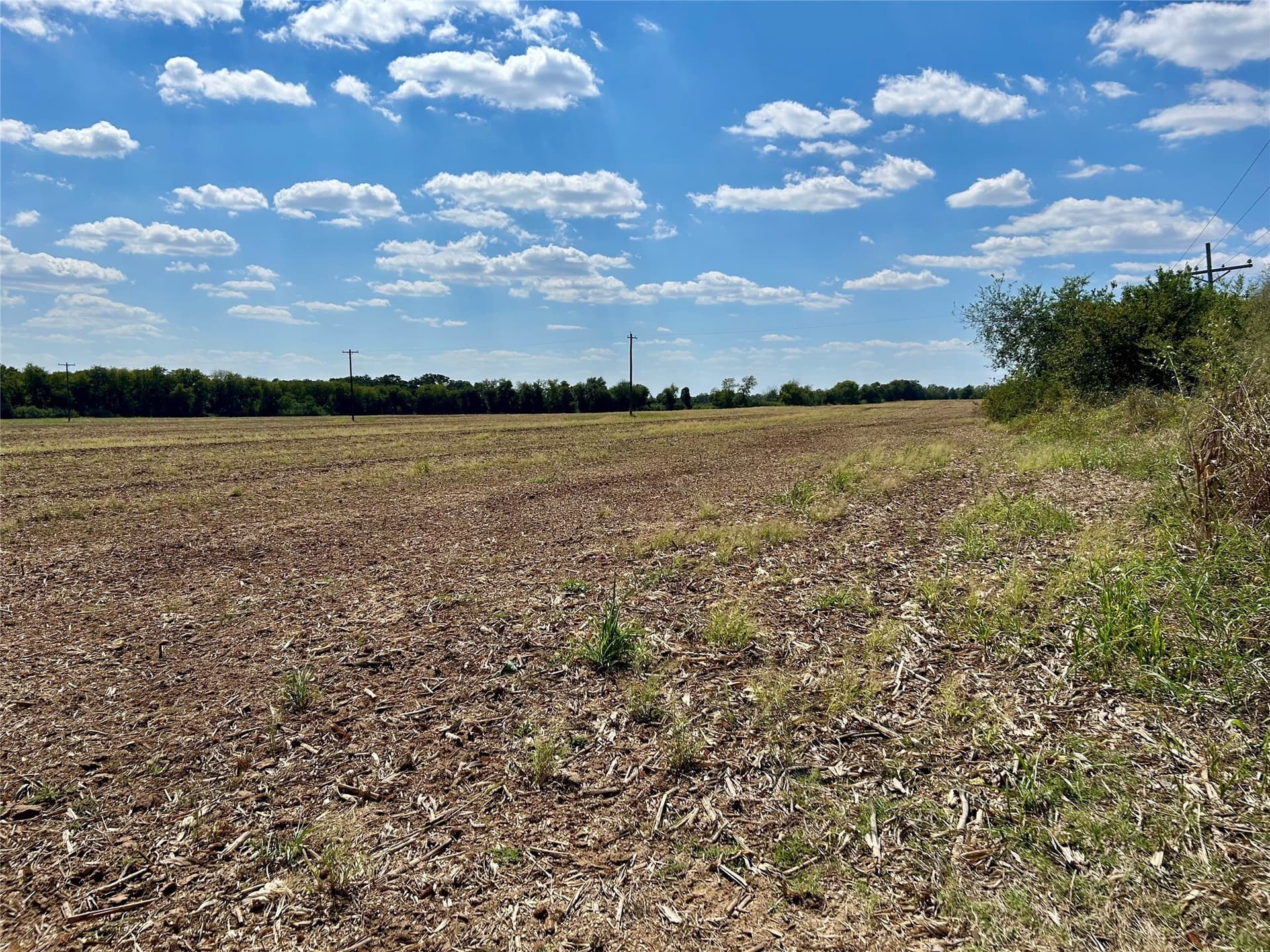 2 acres in Hill County - photo 7