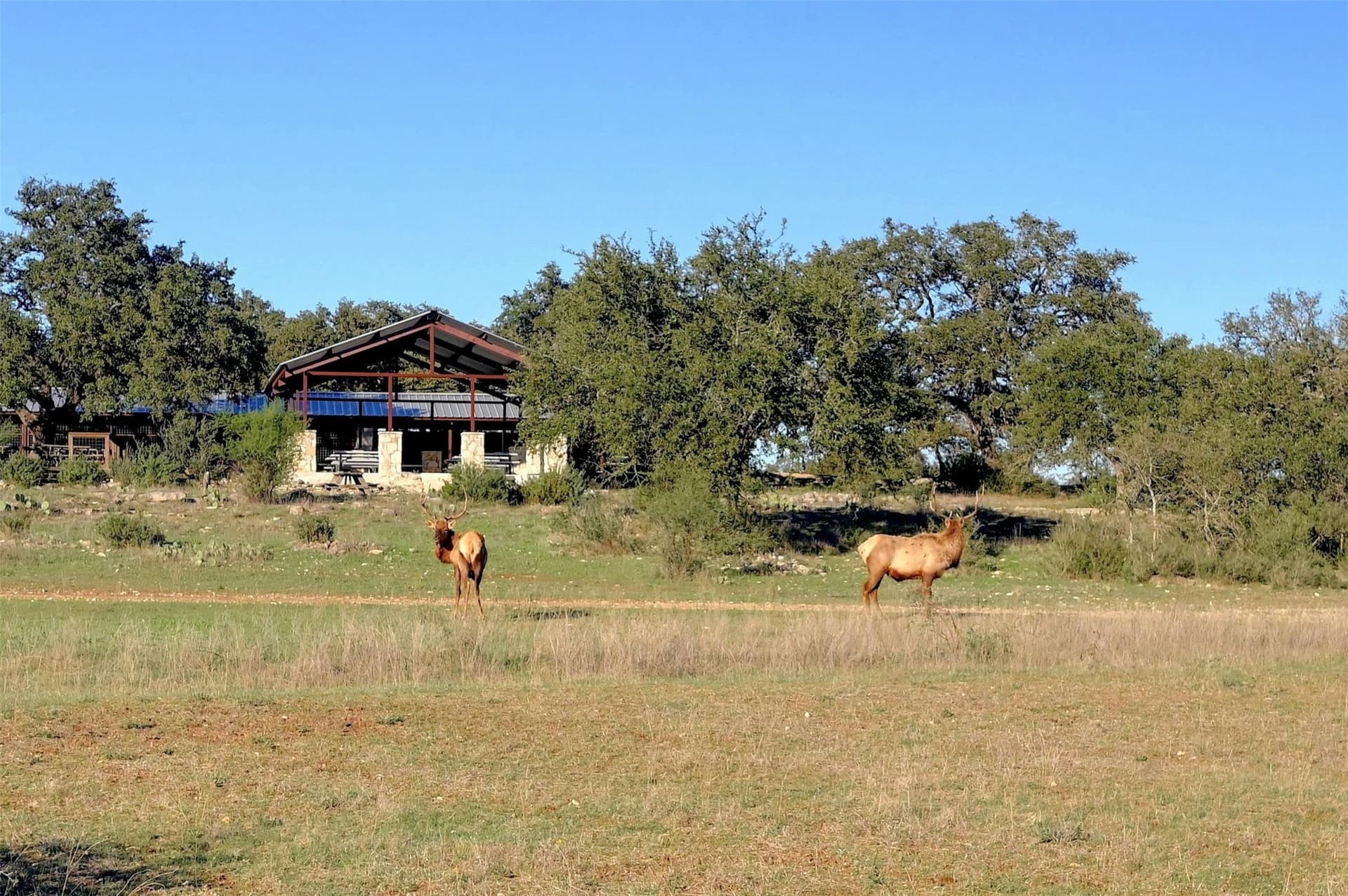 25.58 acres in Blanco County - photo 18