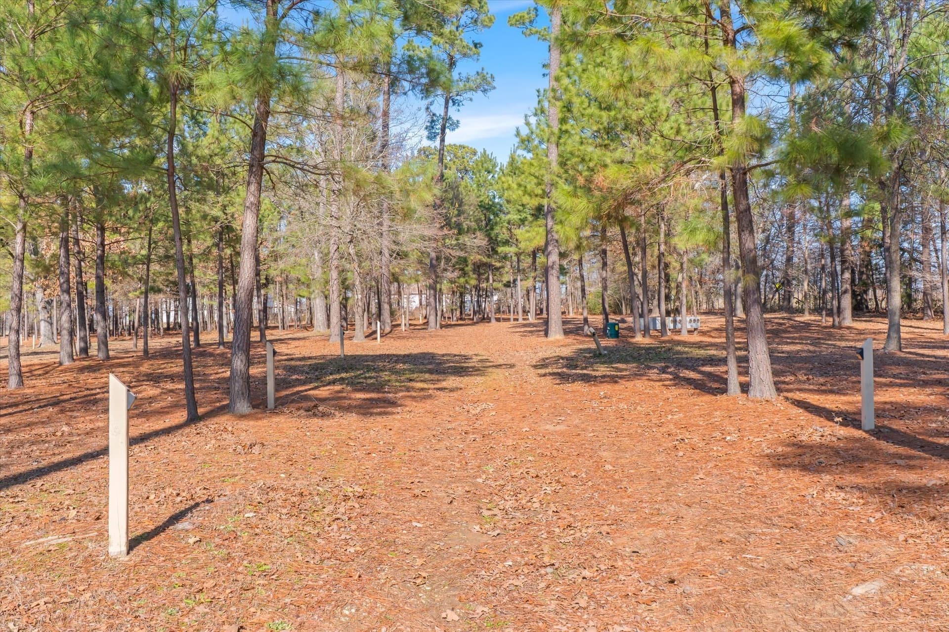 36.57 acres in Van Zandt County - photo 29