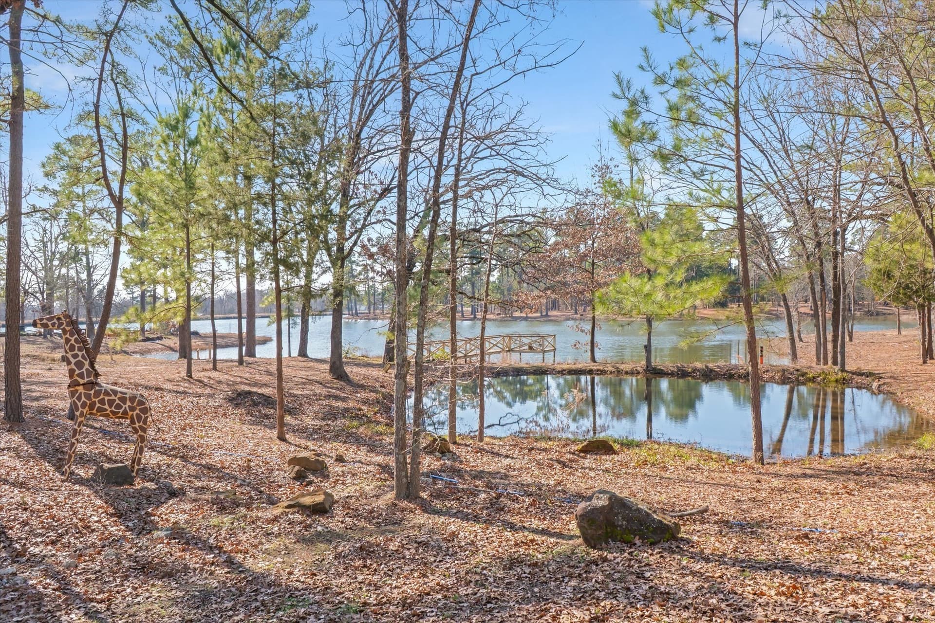 36.57 acres in Van Zandt County - photo 28