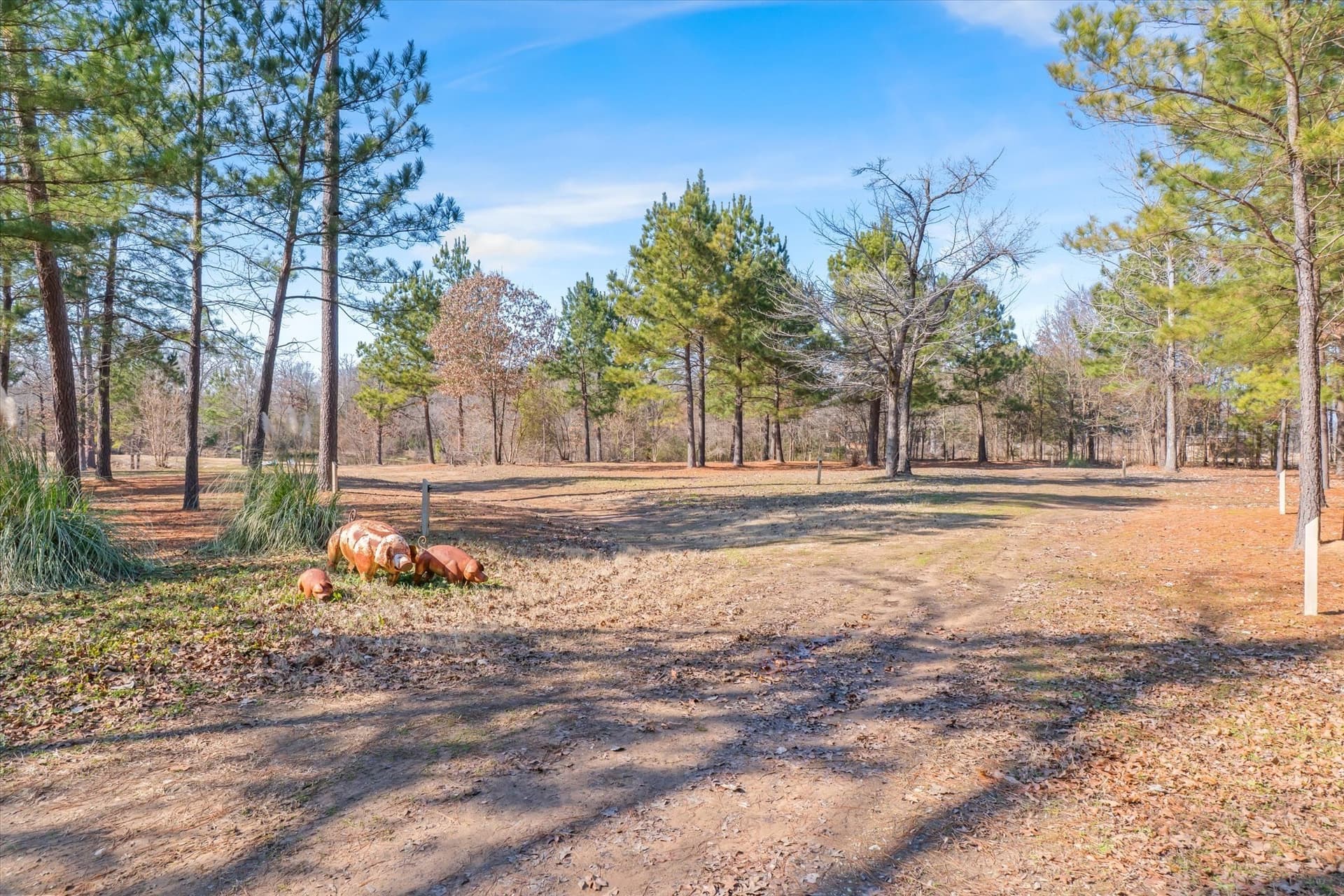 36.57 acres in Van Zandt County - photo 31
