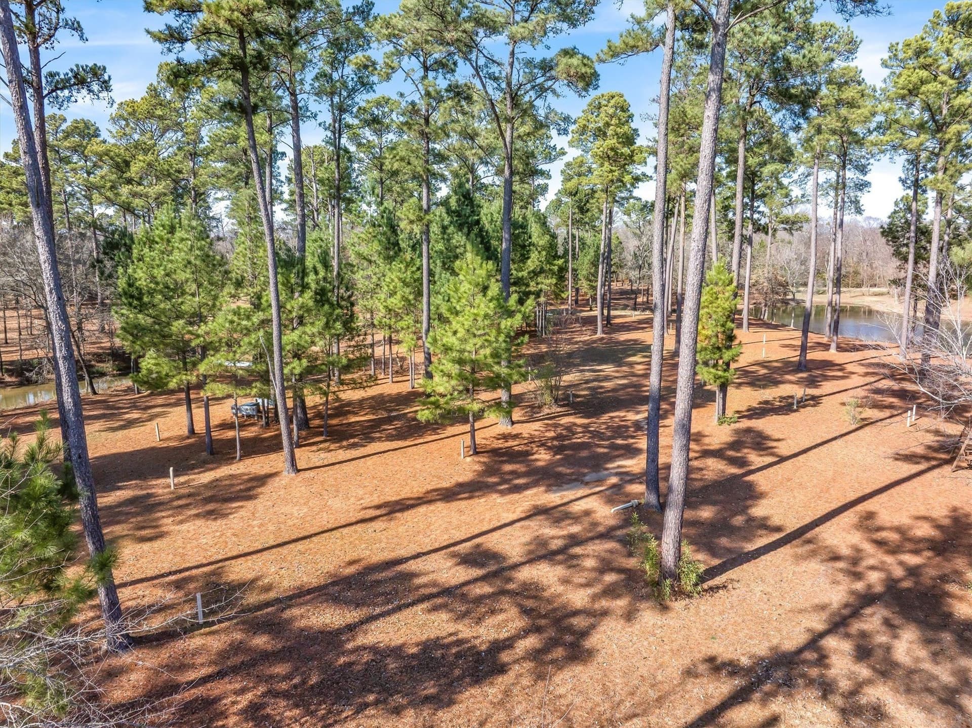36.57 acres in Van Zandt County - photo 24