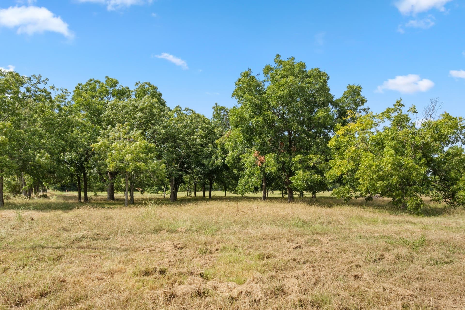 12.64 acres in Hunt County - photo 4
