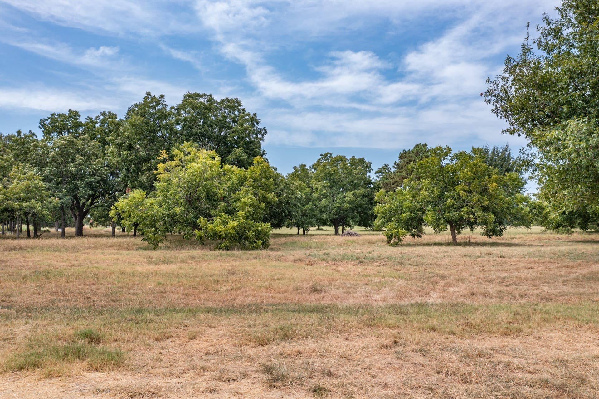 12.64 acres in Hunt County - photo 5