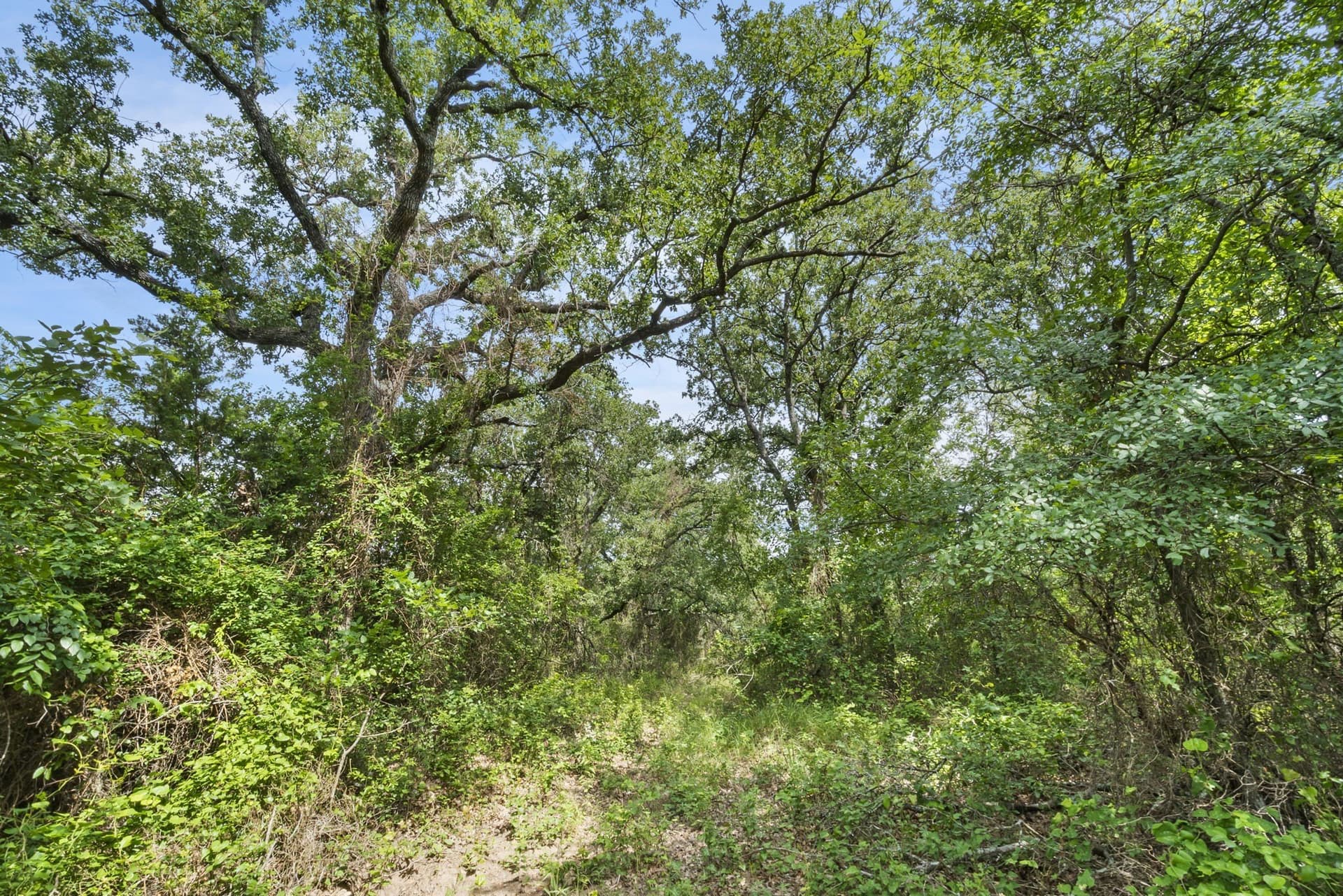 187.17 acres in Erath County - photo 14