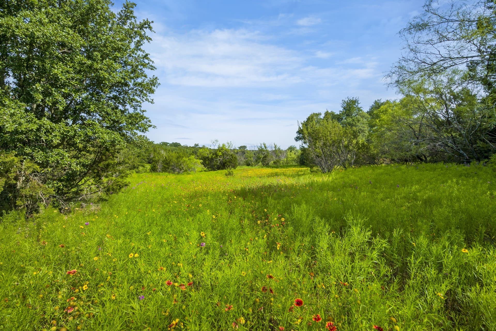187.17 acres in Erath County - photo 36