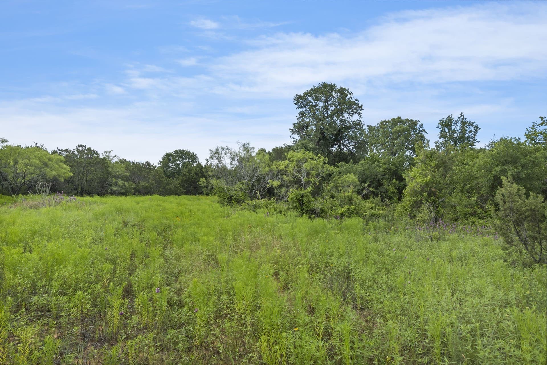 187.17 acres in Erath County - photo 38