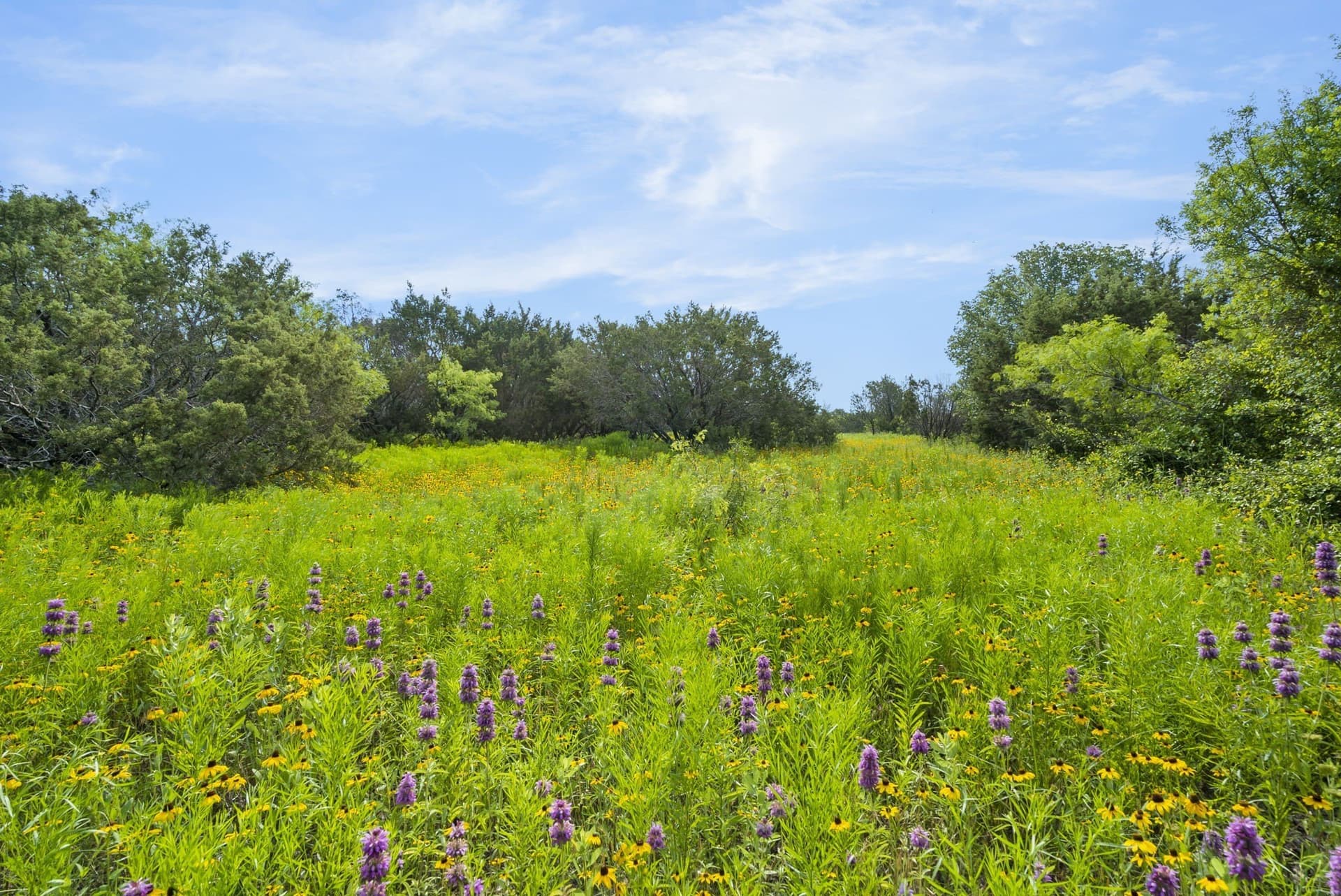 187.17 acres in Erath County - photo 9