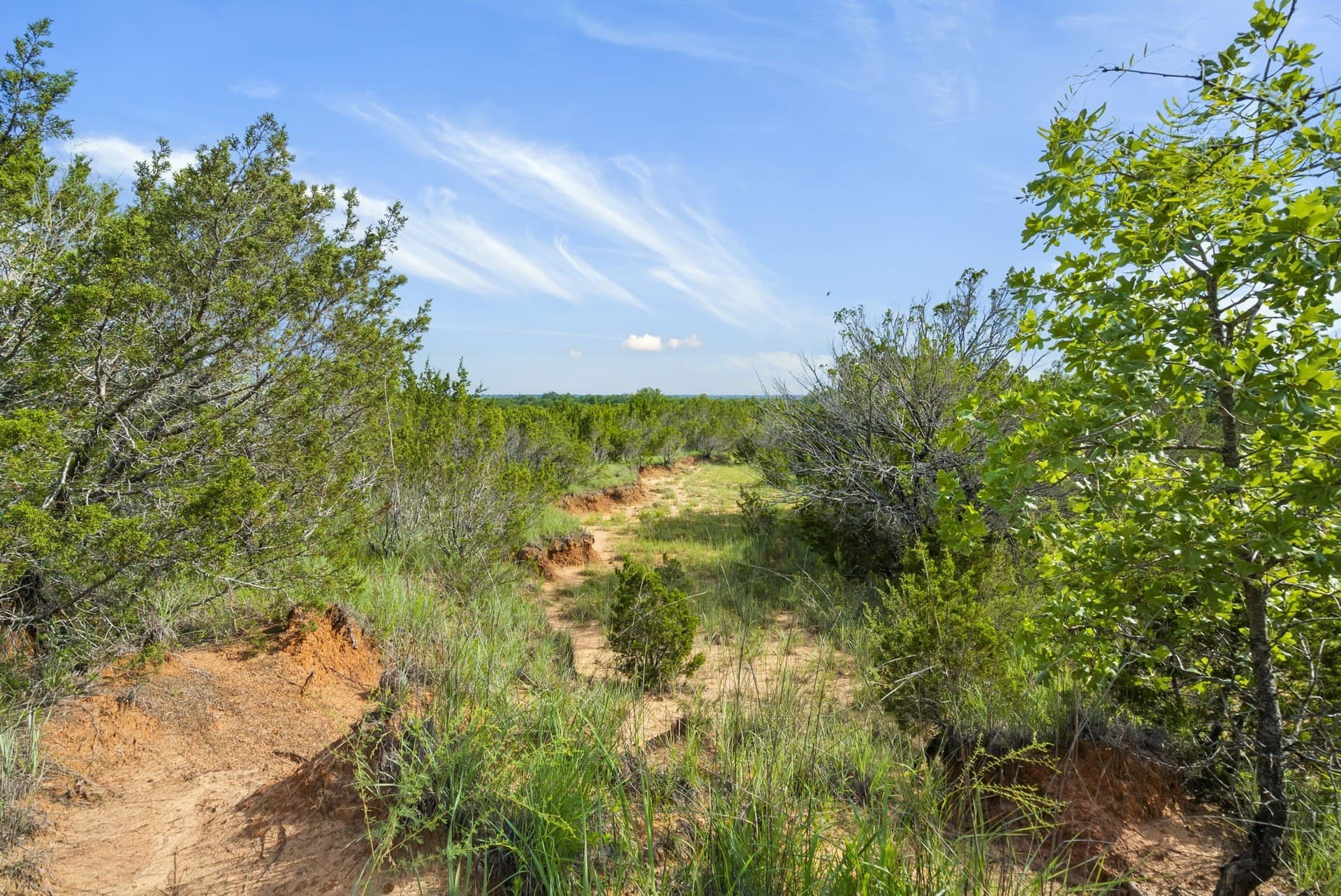 187.17 acres in Erath County - photo 33