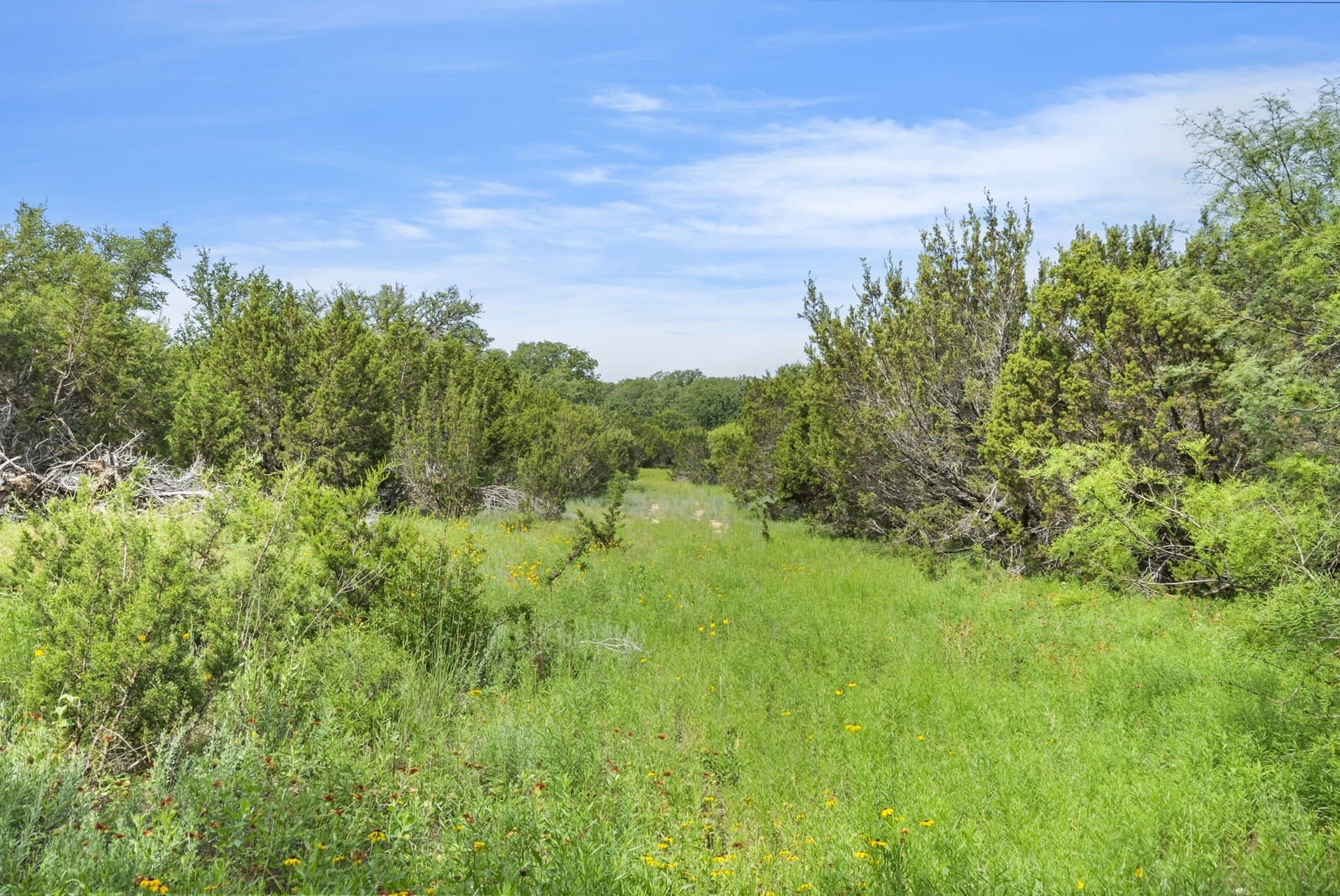 187.17 acres in Erath County - photo 13