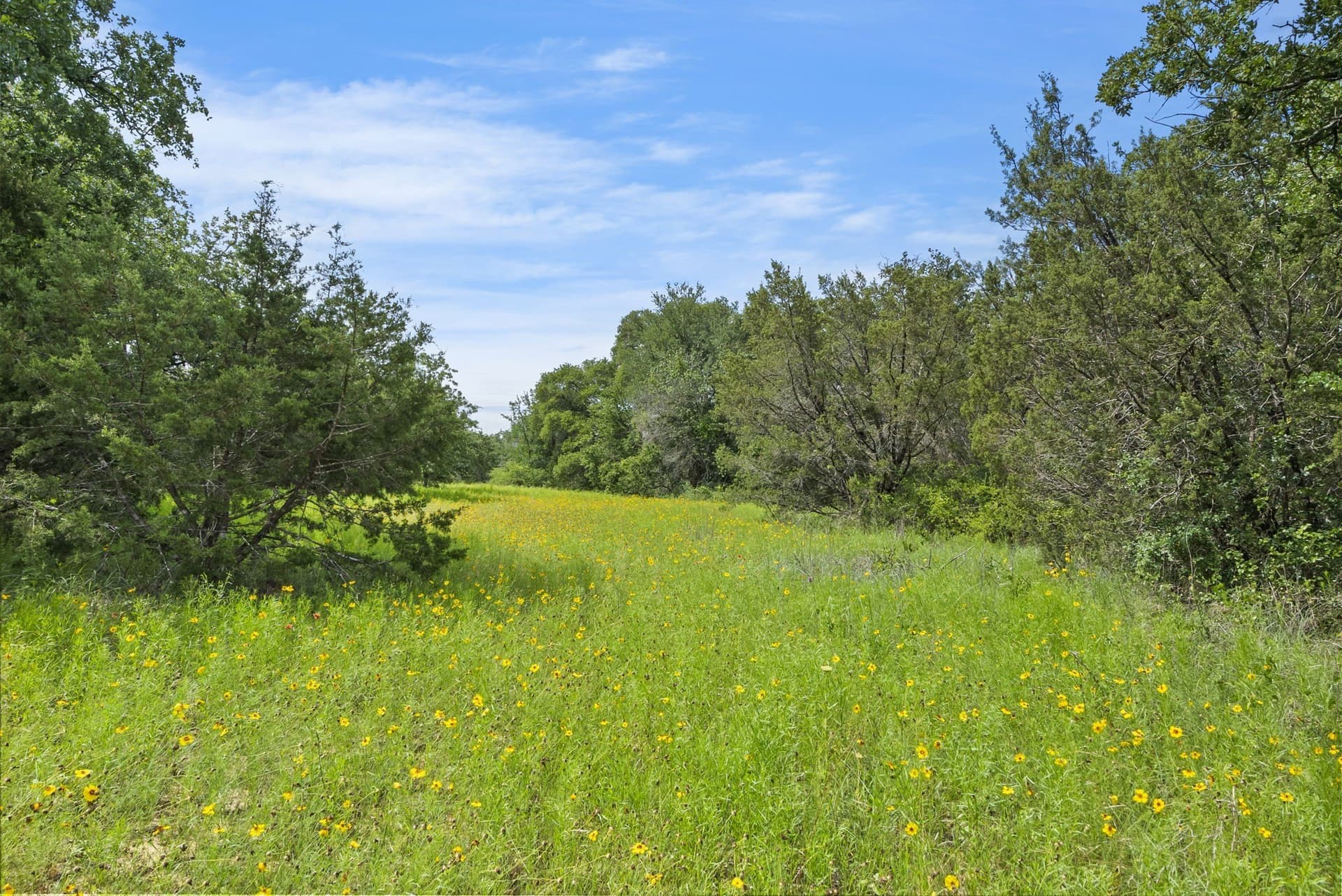 187.17 acres in Erath County - photo 15