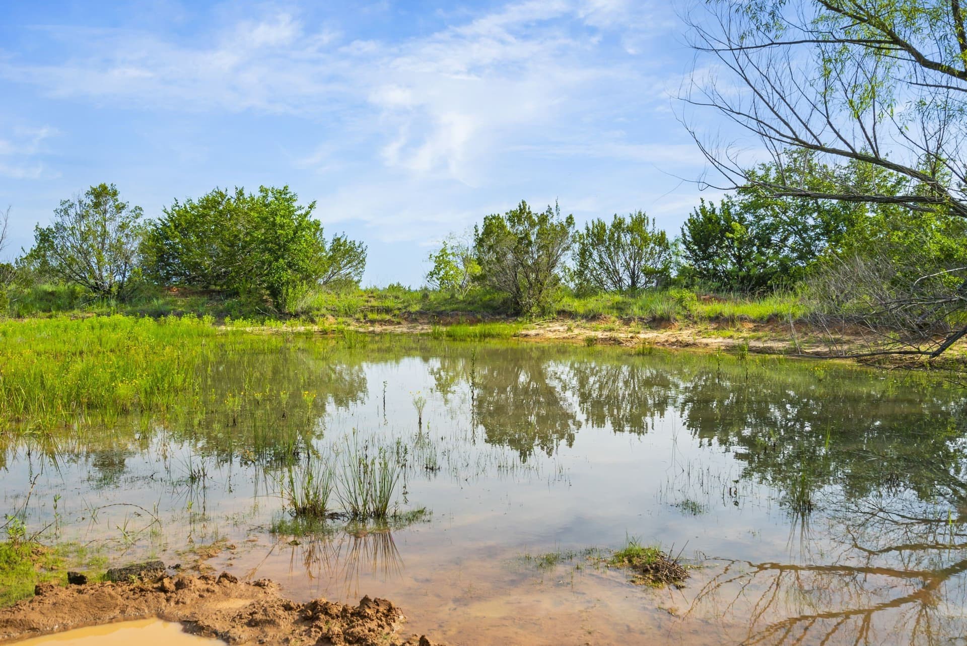 187.17 acres in Erath County - photo 6