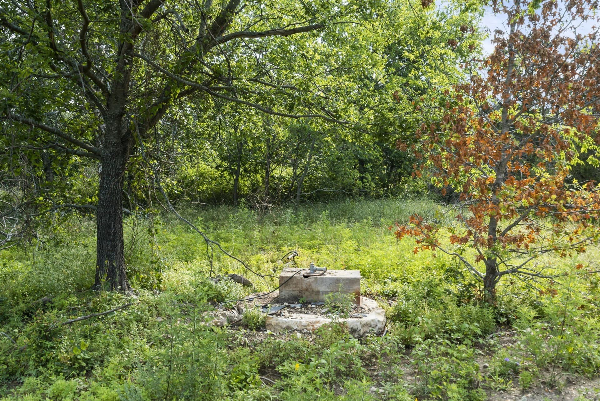 187.17 acres in Erath County - photo 29