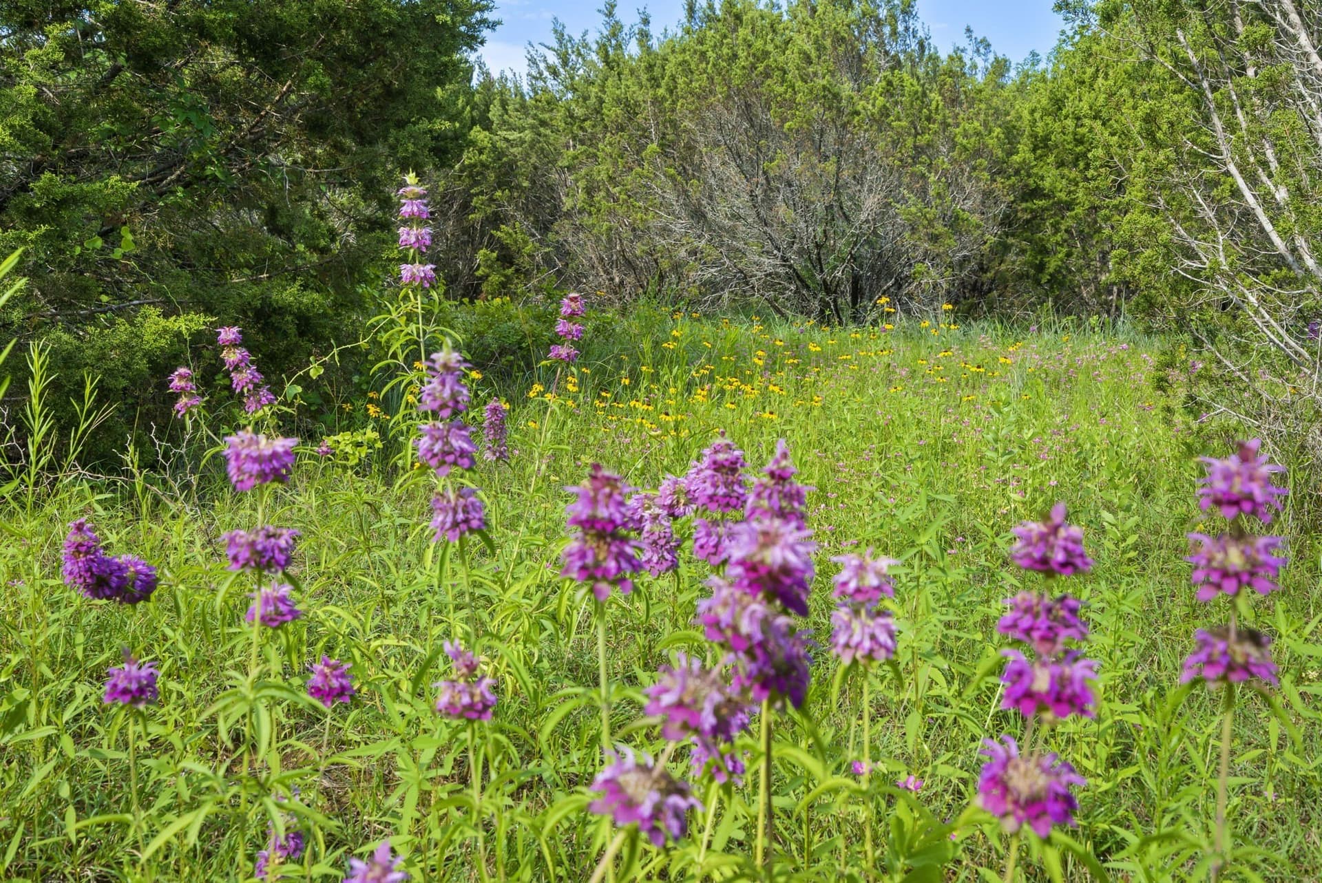 187.17 acres in Erath County - photo 8