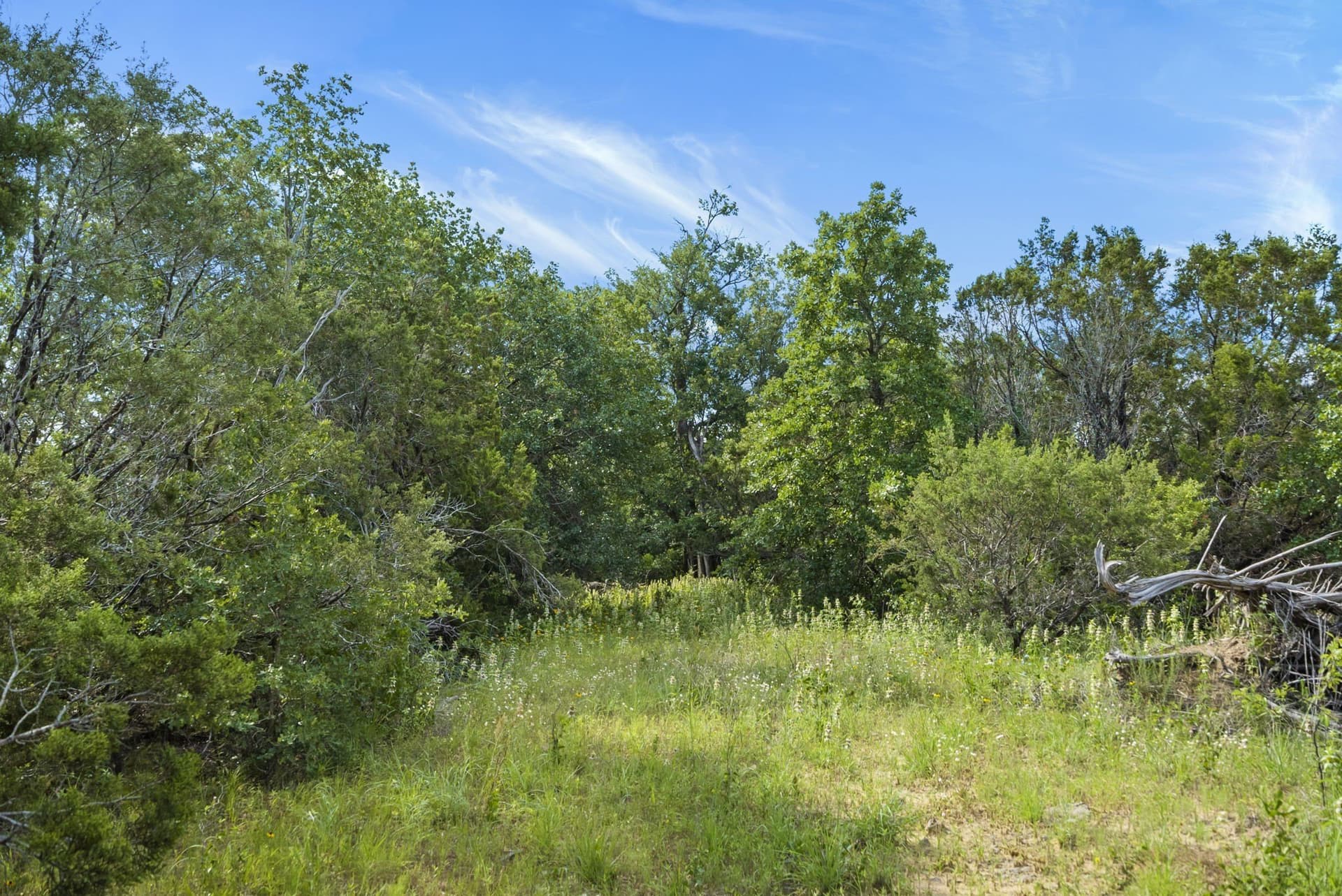 187.17 acres in Erath County - photo 37