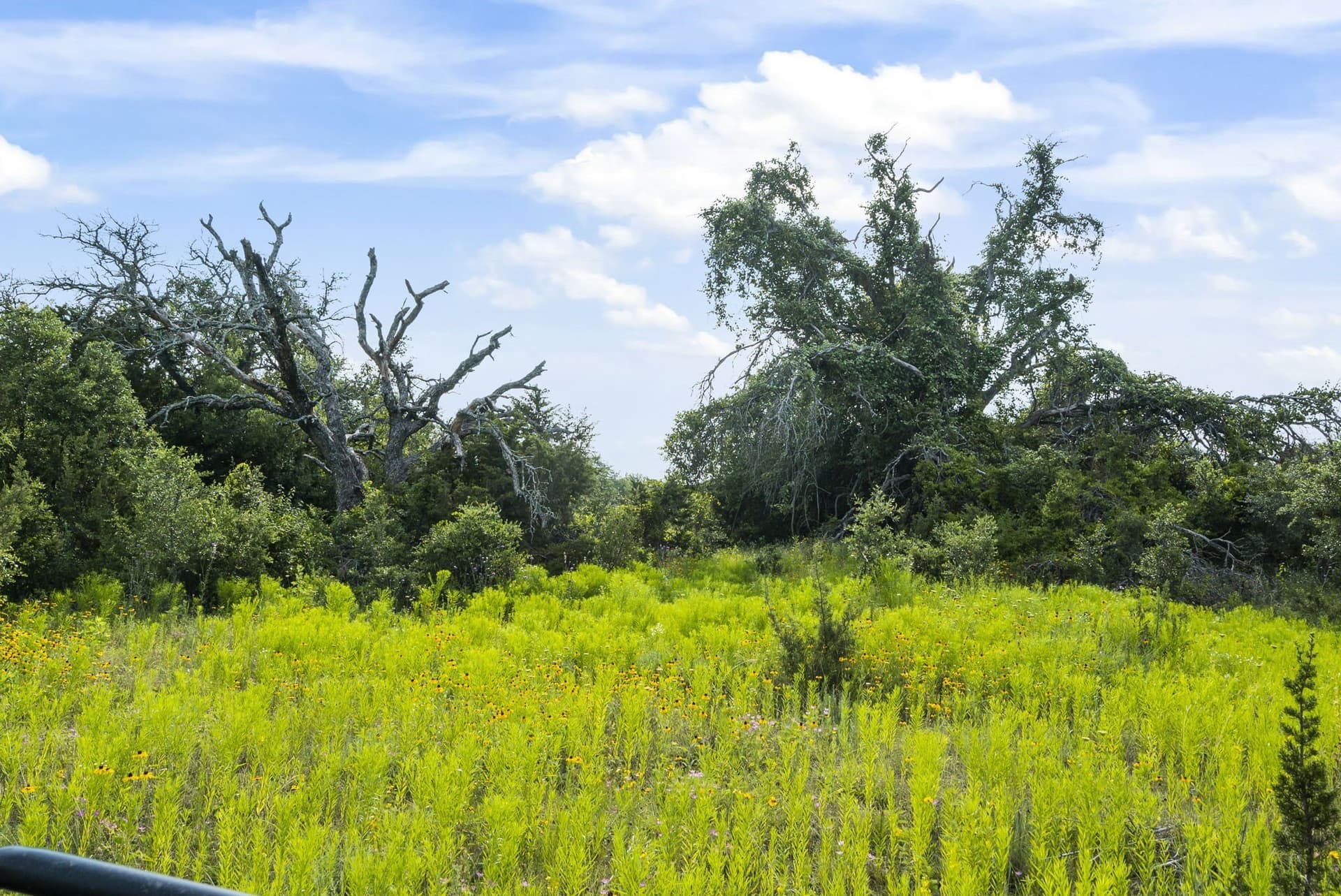 187.17 acres in Erath County - photo 32