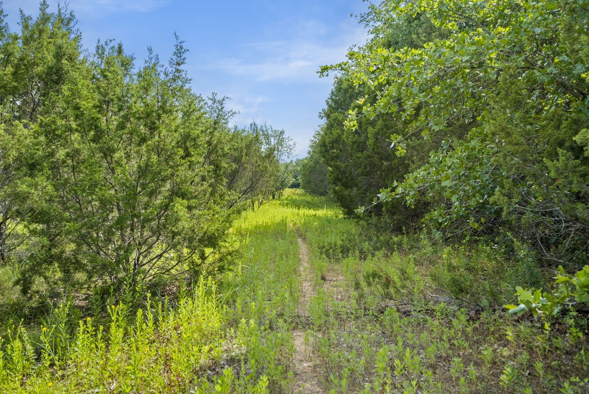 187.17 acres in Erath County - photo 7