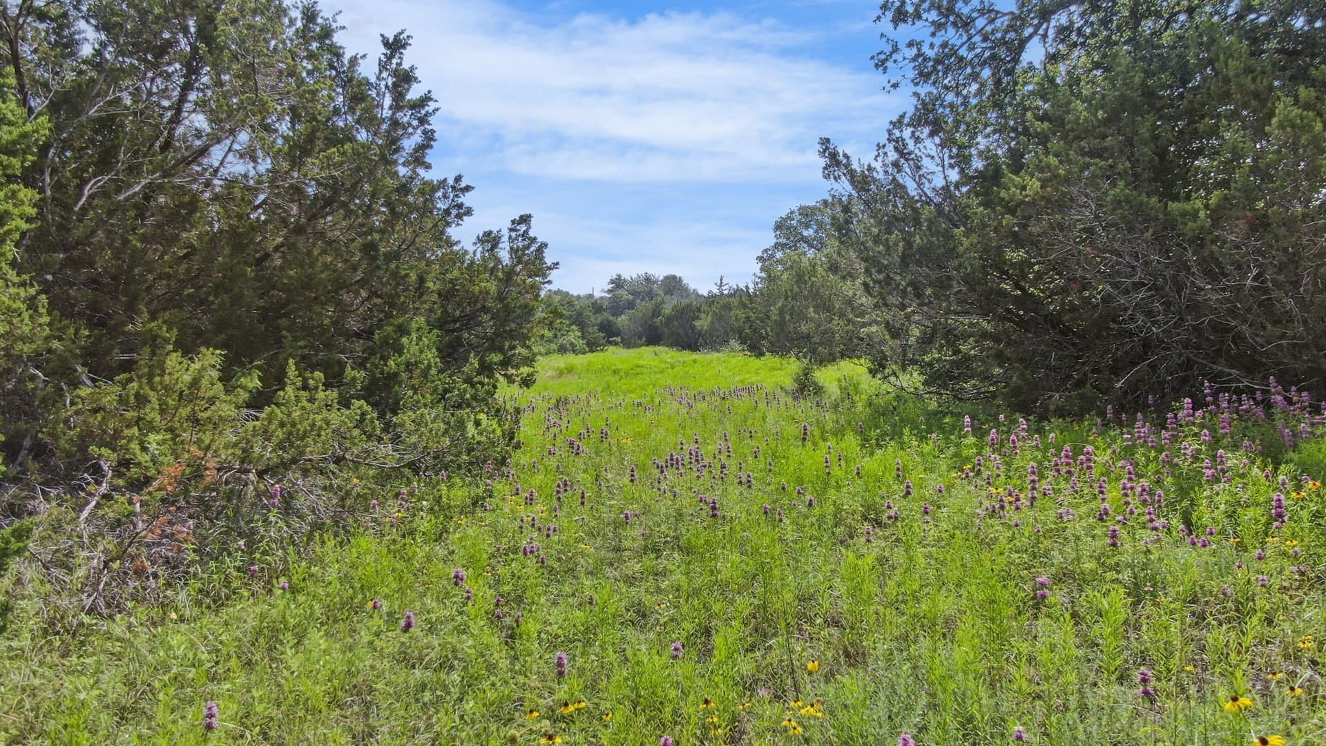 187.17 acres in Erath County - photo 20