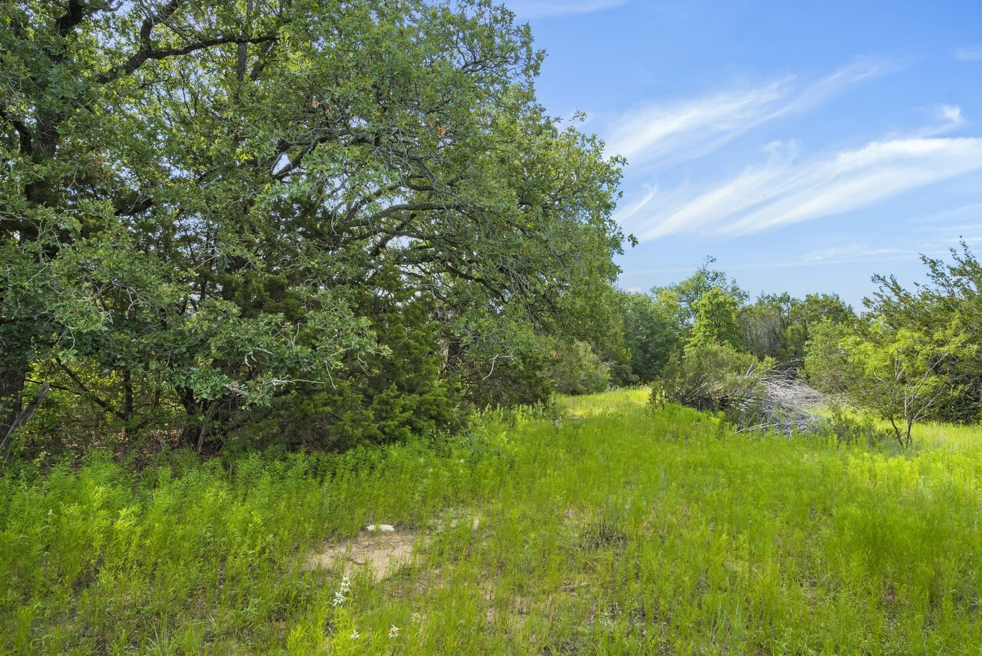 187.17 acres in Erath County - photo 12