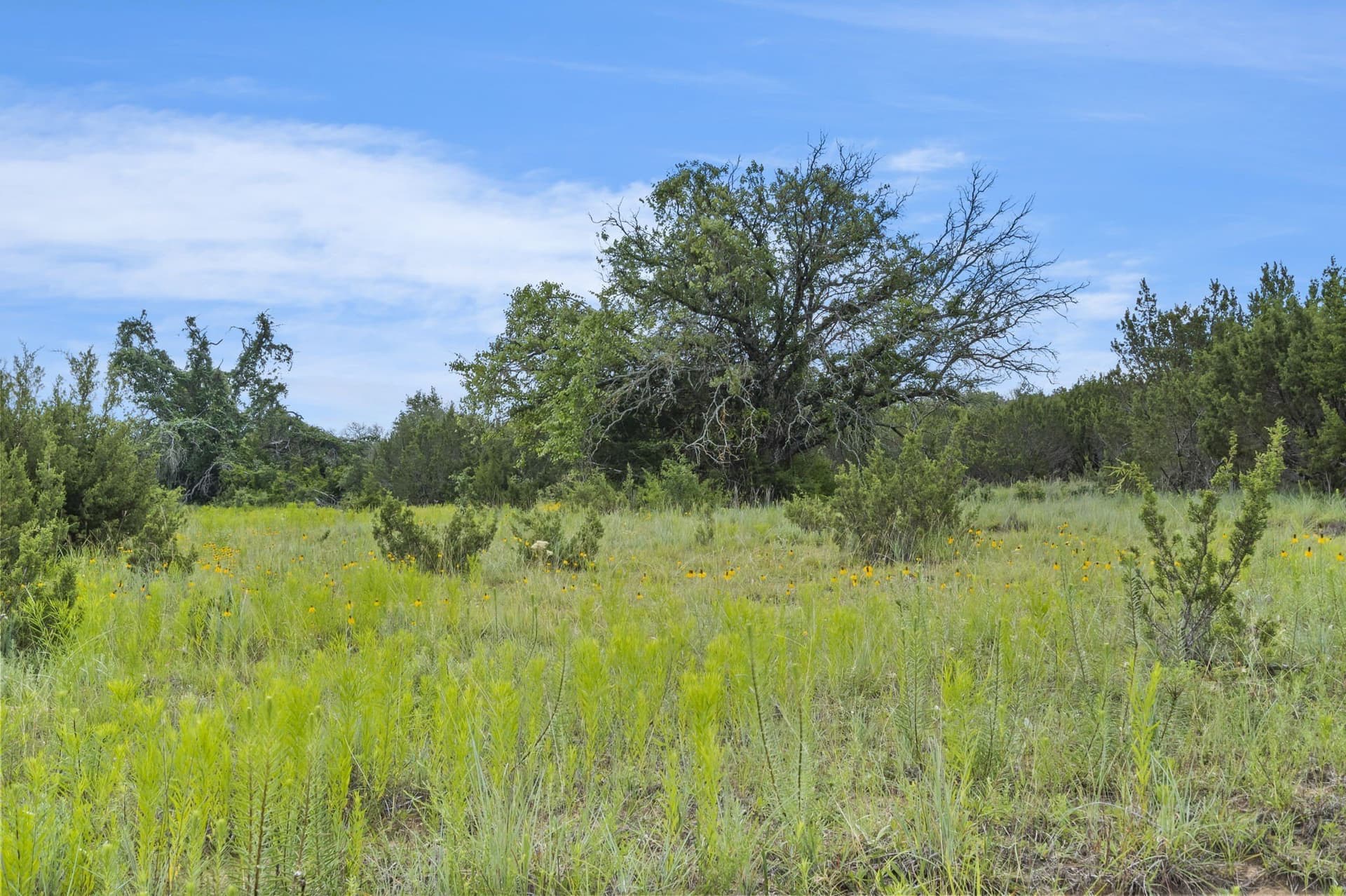 187.17 acres in Erath County - photo 39