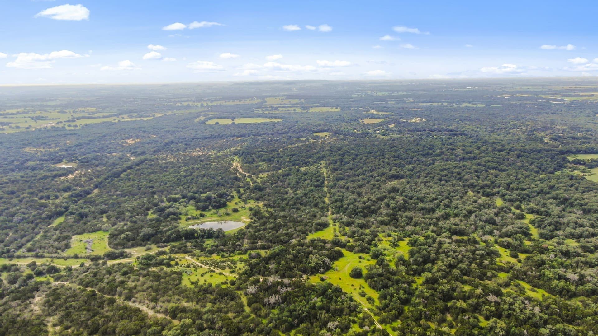 187.17 acres in Erath County gallery image 2