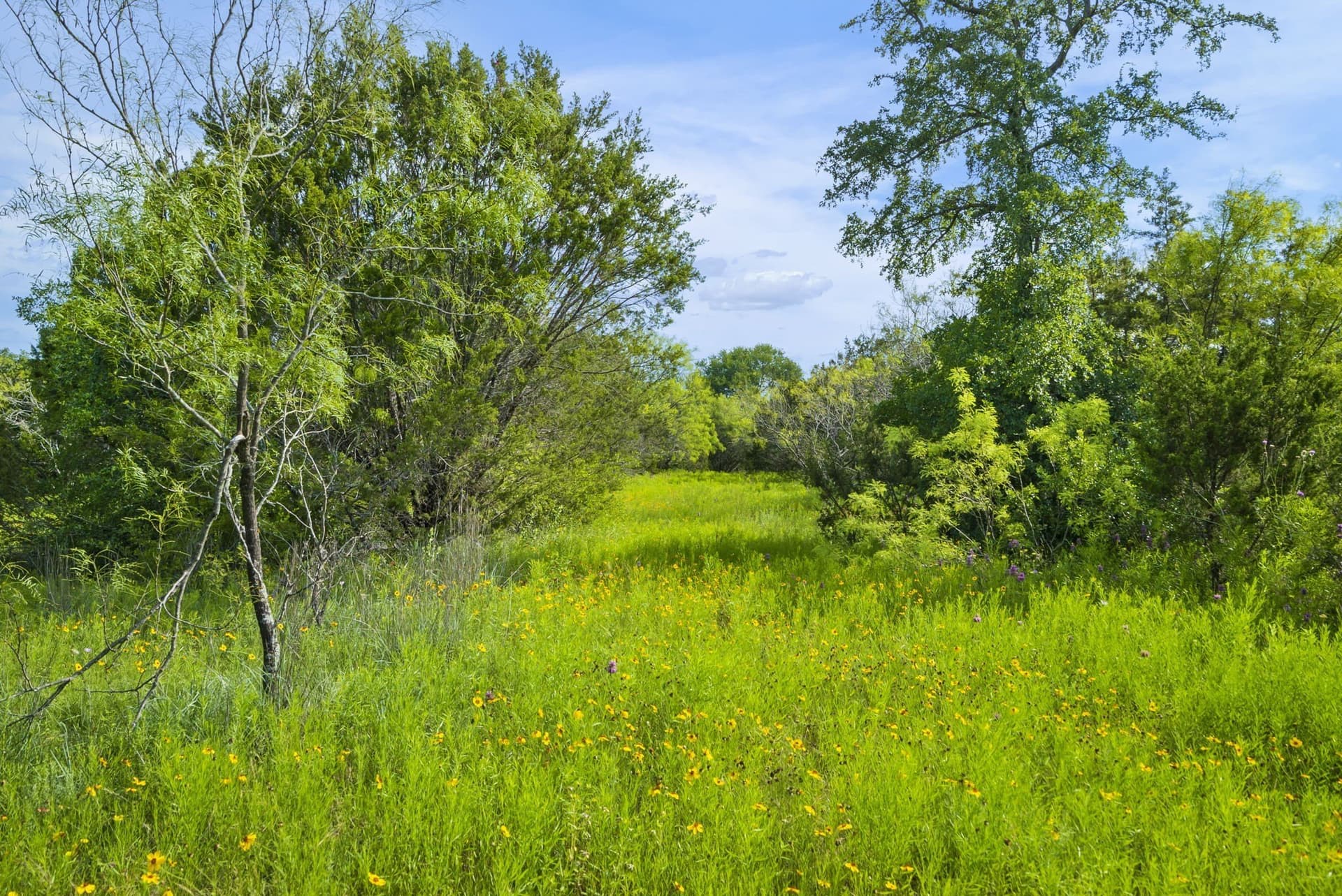 187.17 acres in Erath County - photo 35