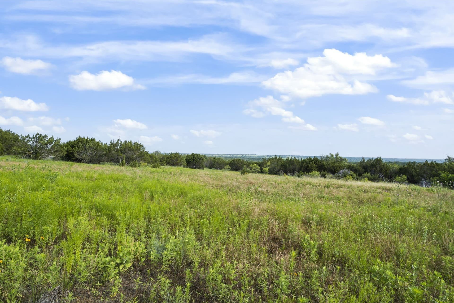 187.17 acres in Erath County gallery image 4