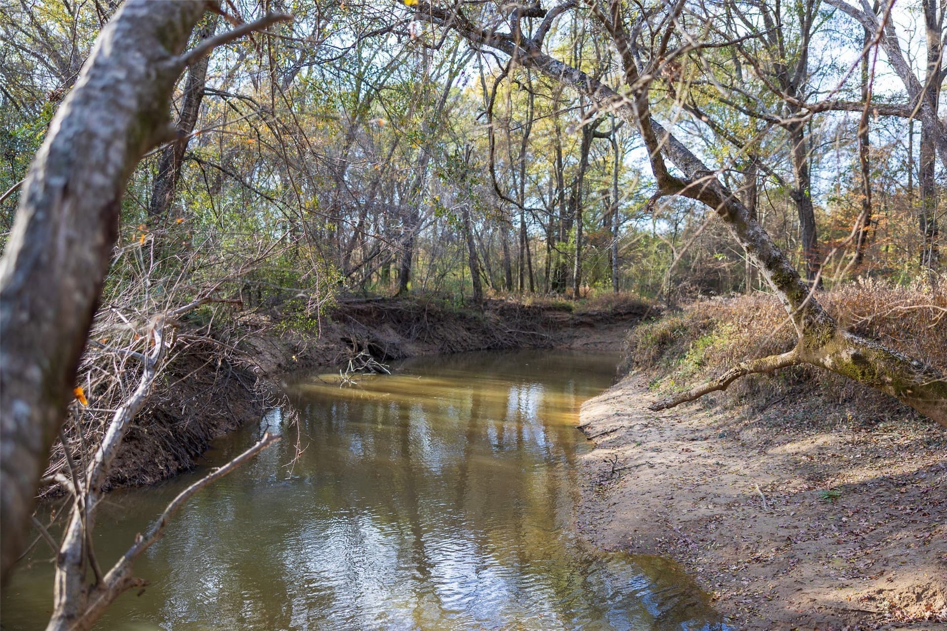 205.37 acres in Rusk County - photo 35