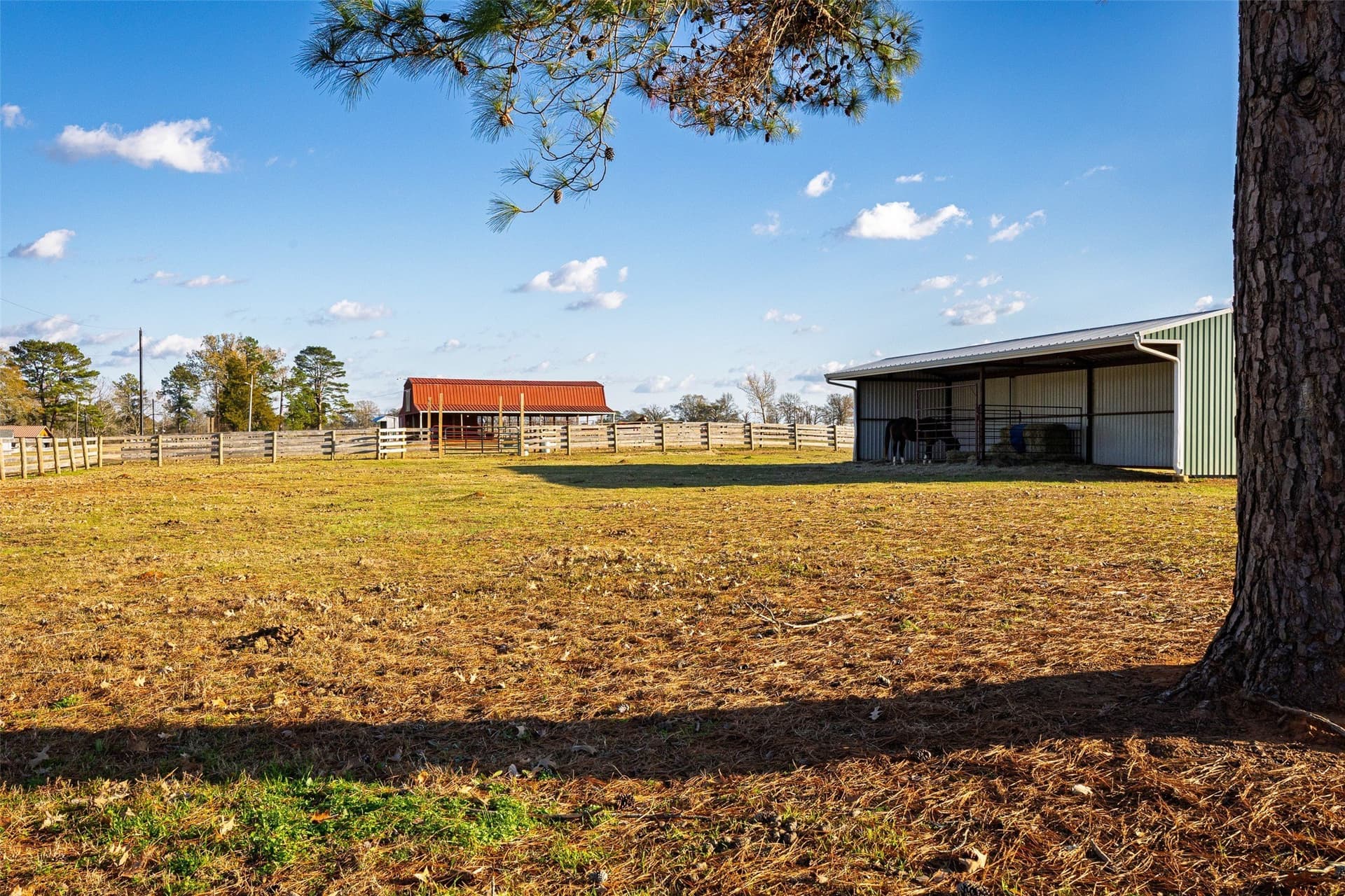 205.37 acres in Rusk County - photo 30