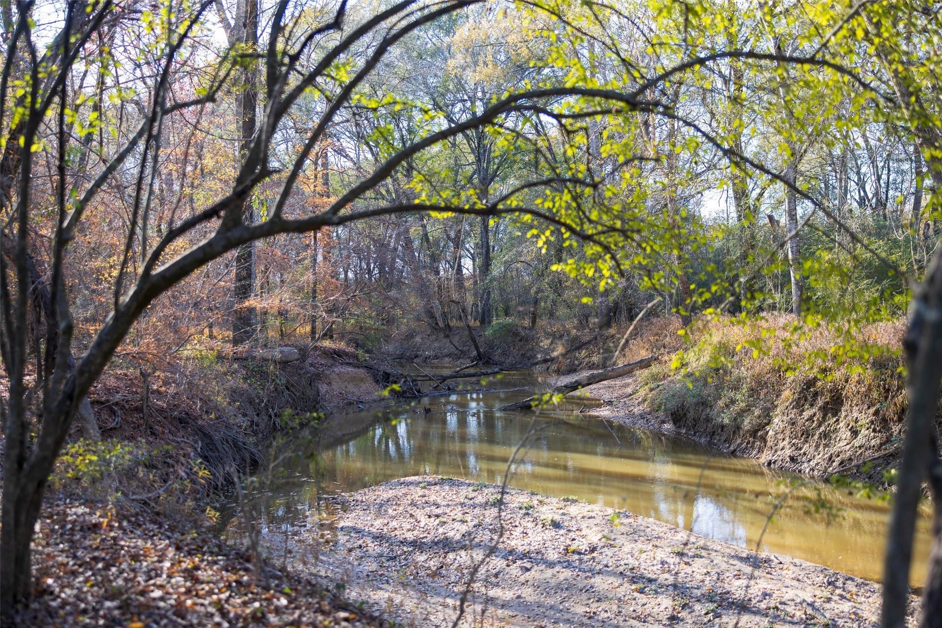 205.37 acres in Rusk County - photo 36