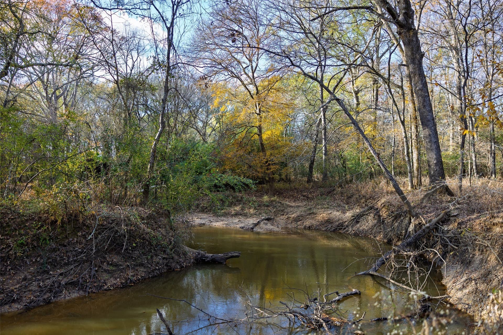 205.37 acres in Rusk County - photo 33