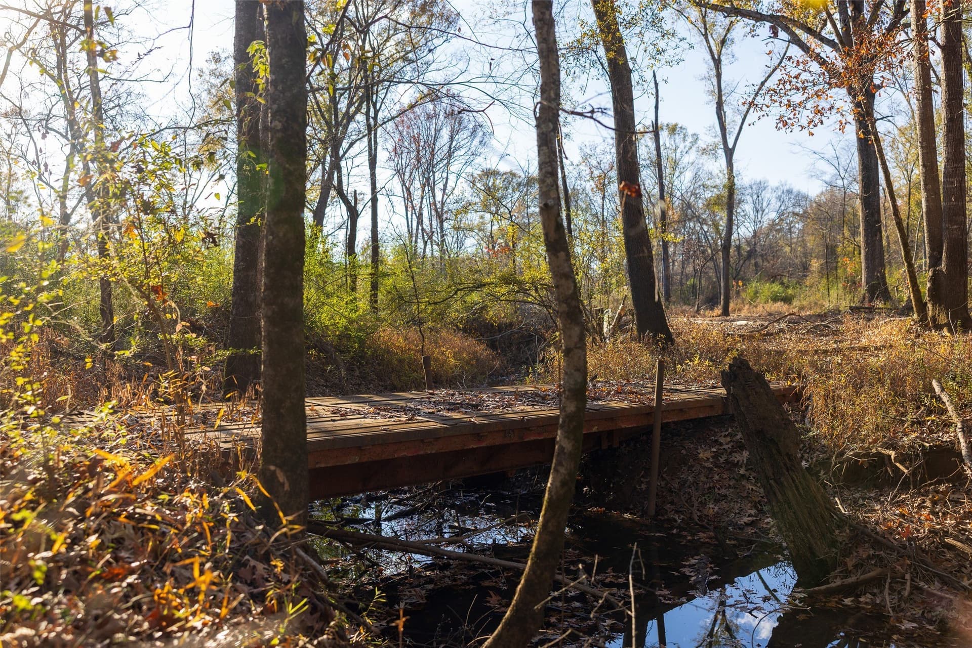 205.37 acres in Rusk County - photo 38