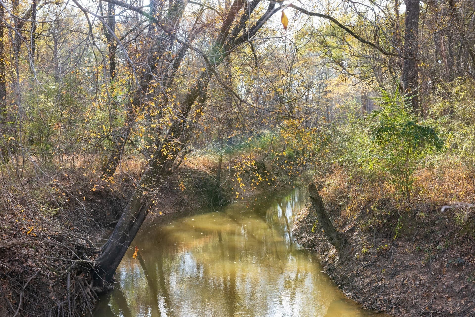 205.37 acres in Rusk County - photo 34
