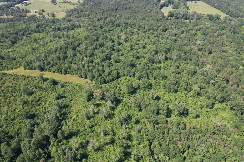 15.2 acres in Shelby County gallery image 3