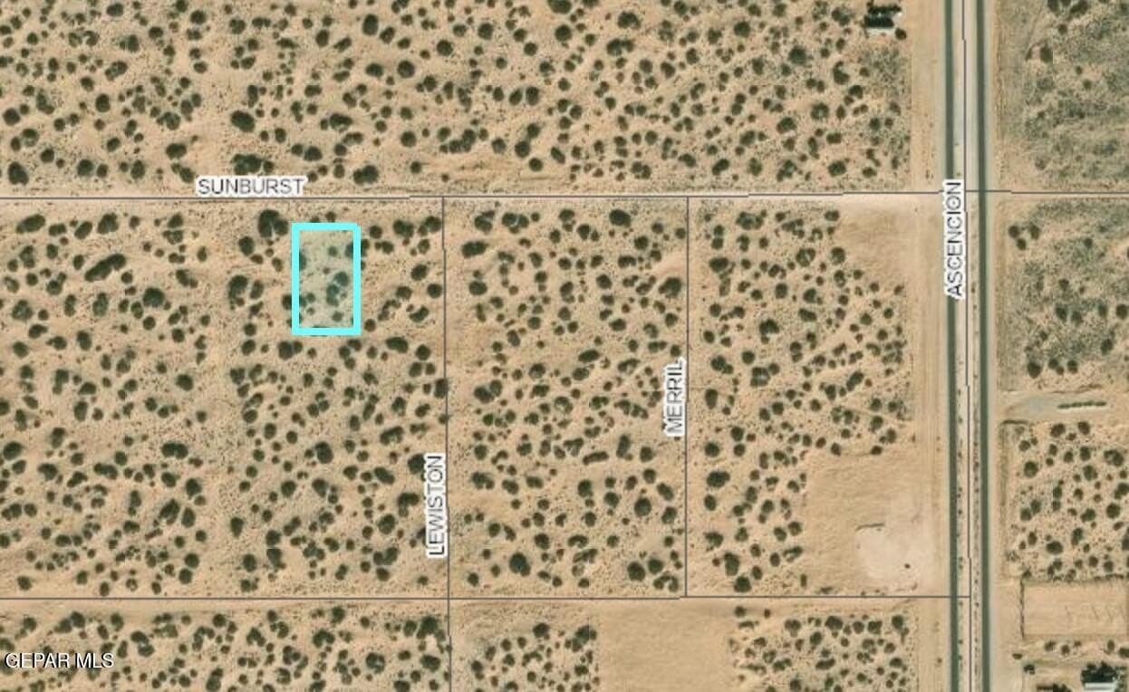 0.5 acres in El Paso County - photo 16