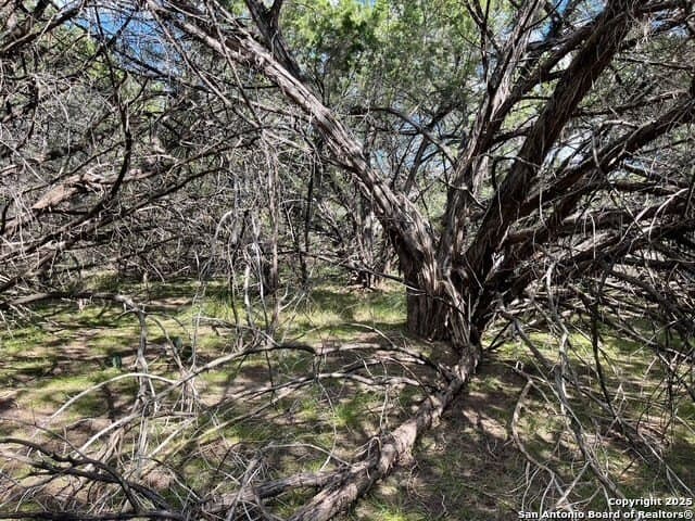 0.71 acres in Bandera County featured view