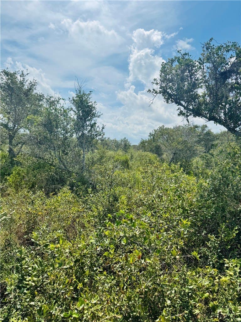 5 acres in San Patricio County - photo 5