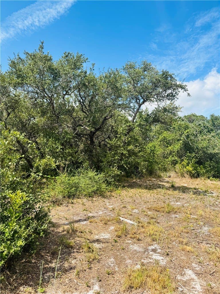 5 acres in San Patricio County - photo 11