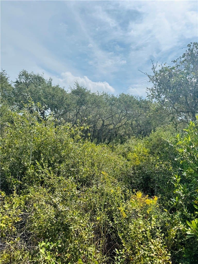 5 acres in San Patricio County - photo 13