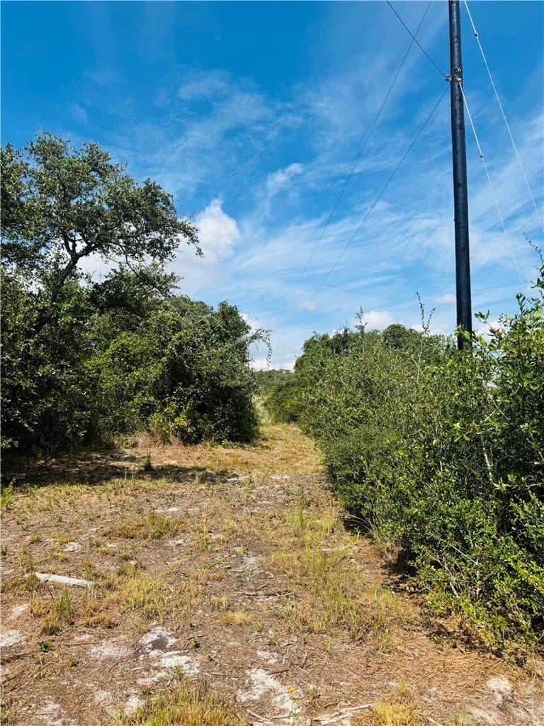 5 acres in San Patricio County - photo 9