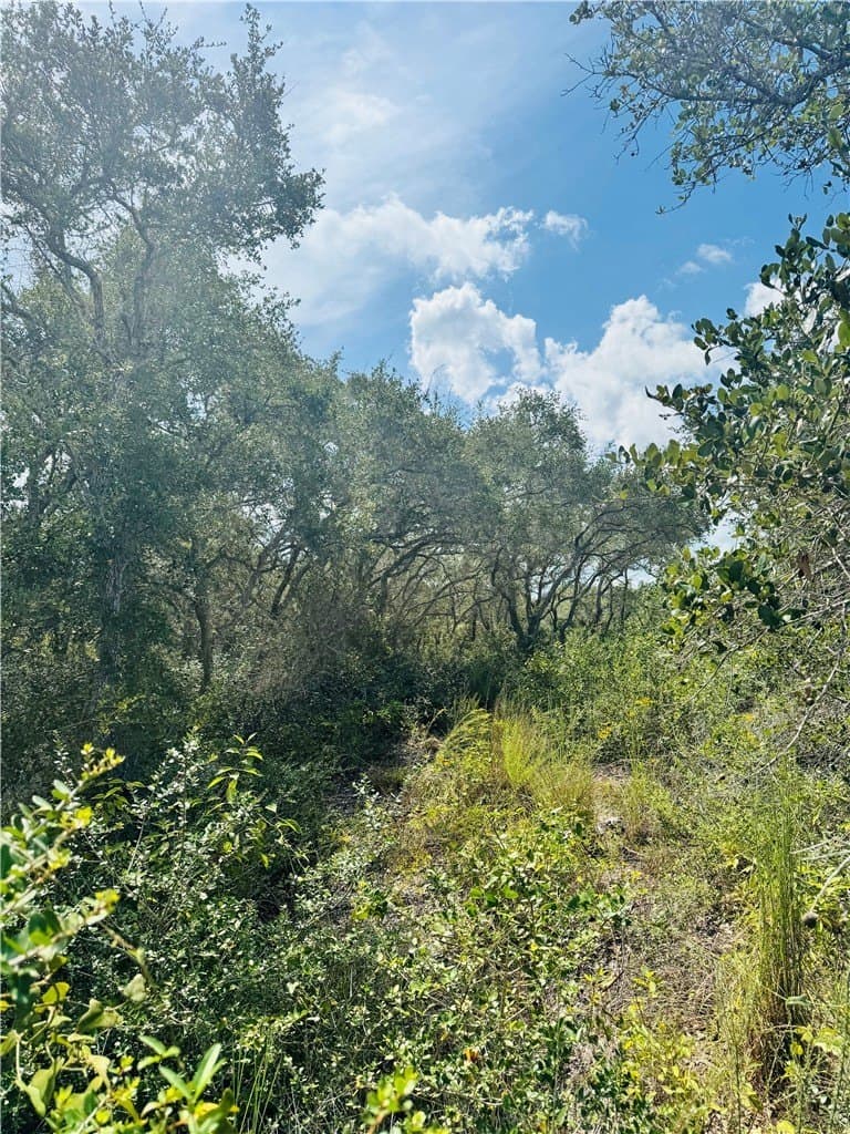 5 acres in San Patricio County - photo 2