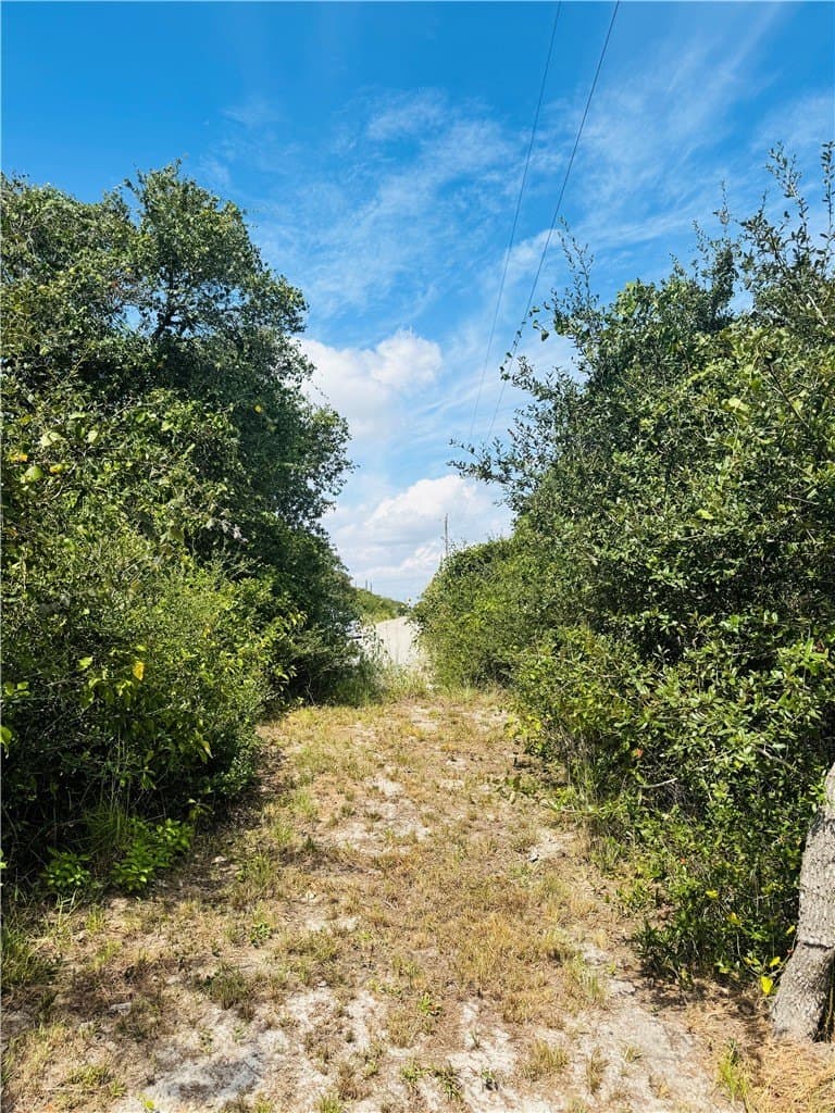 5 acres in San Patricio County - photo 8