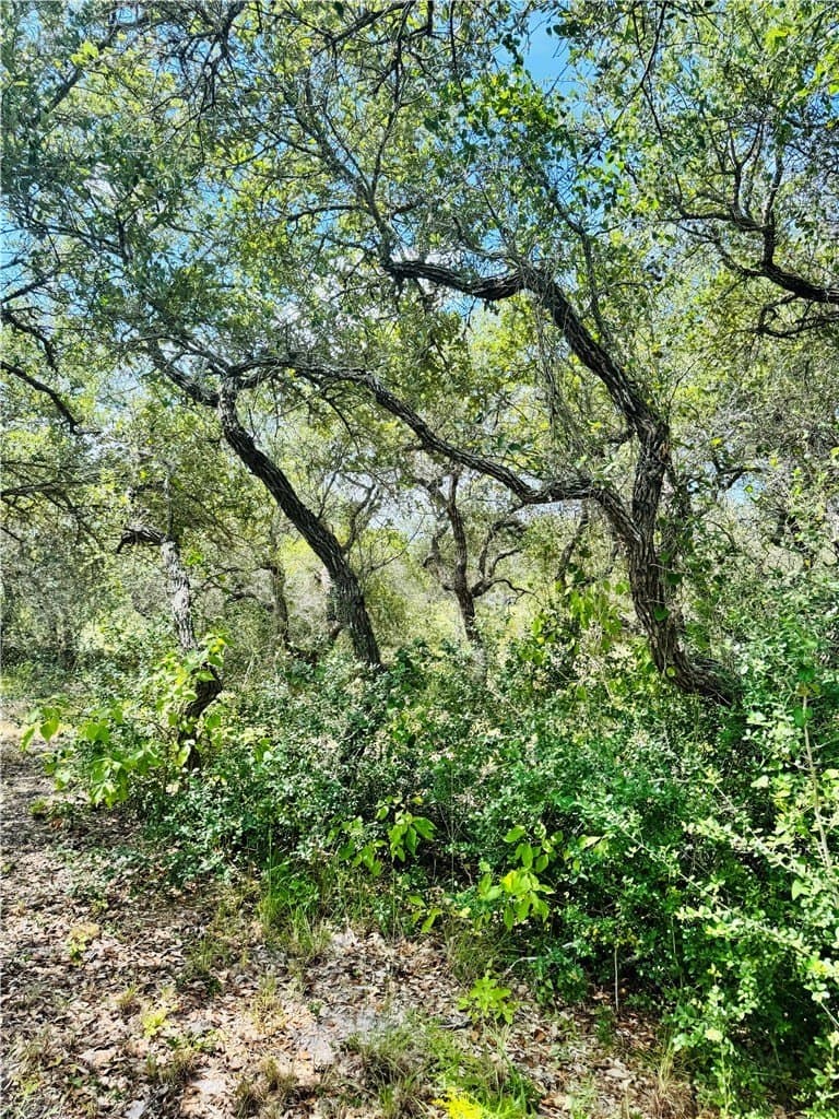 5 acres in San Patricio County - photo 10