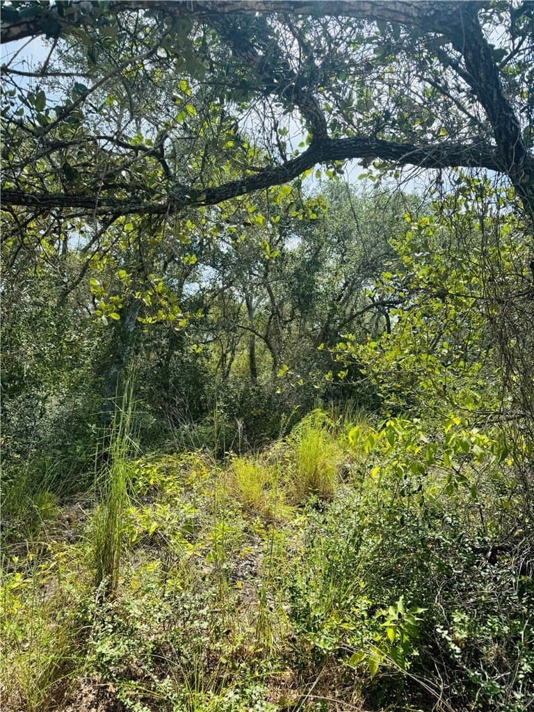 5 acres in San Patricio County - photo 7