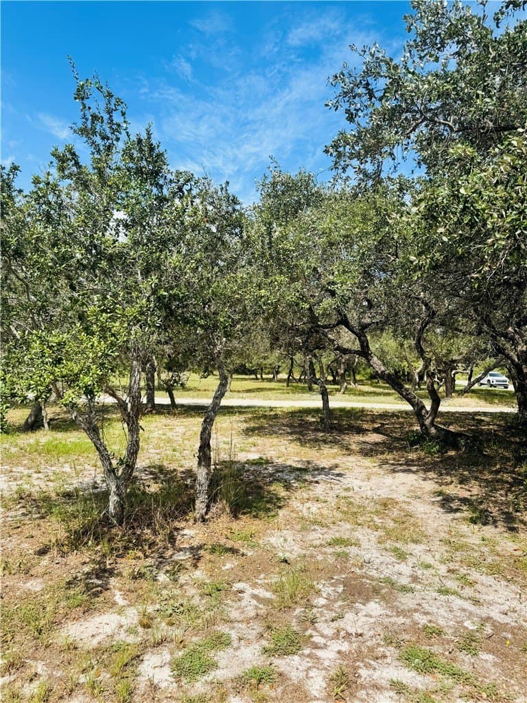 5 acres in San Patricio County - photo 3