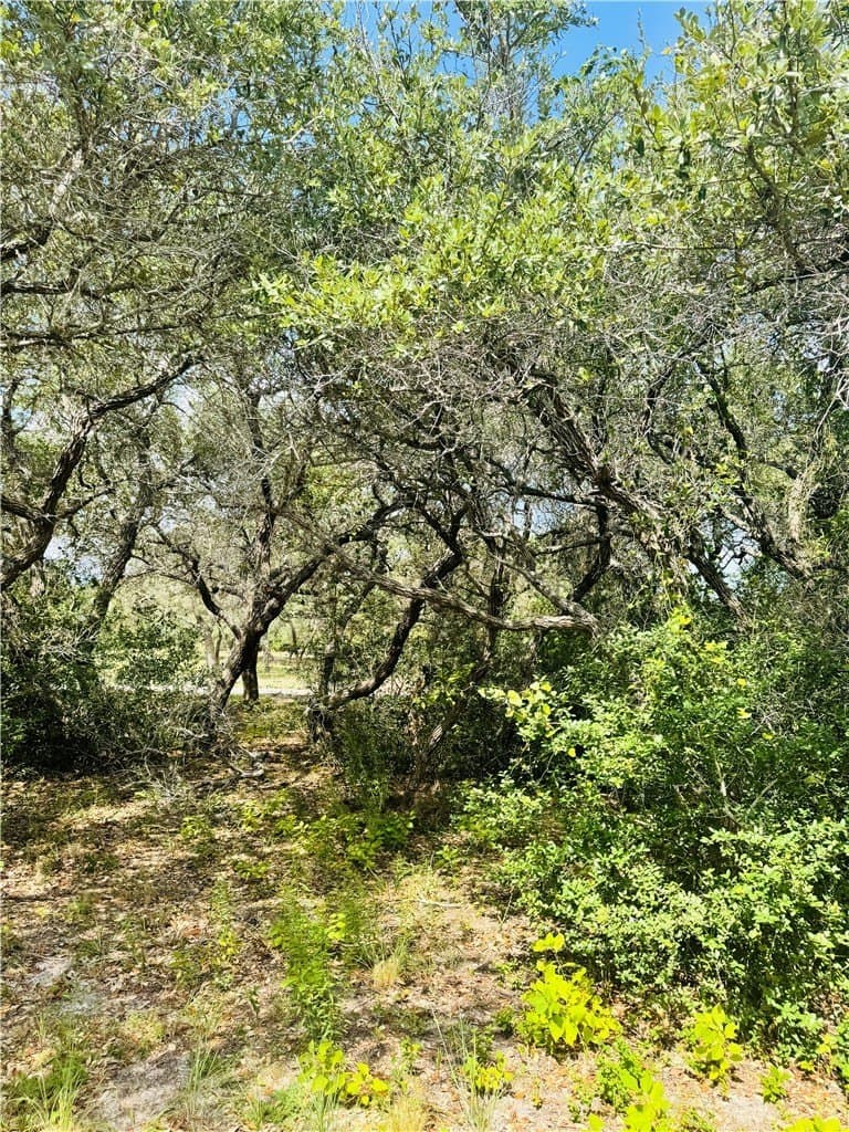5 acres in San Patricio County - photo 12