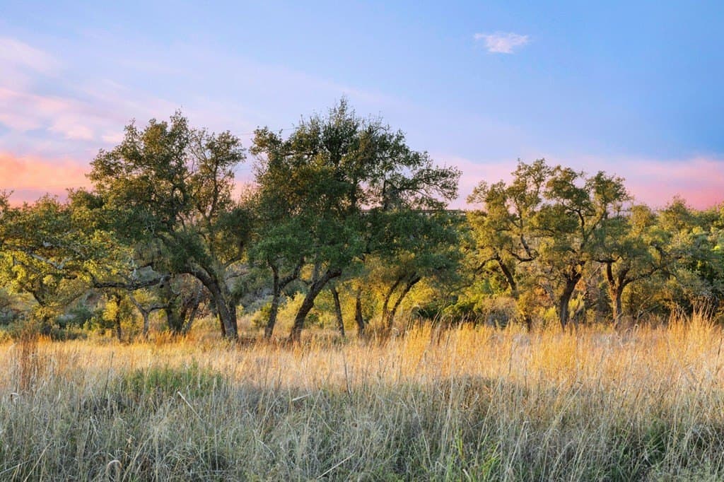 22.14 acres in Travis County - photo 10