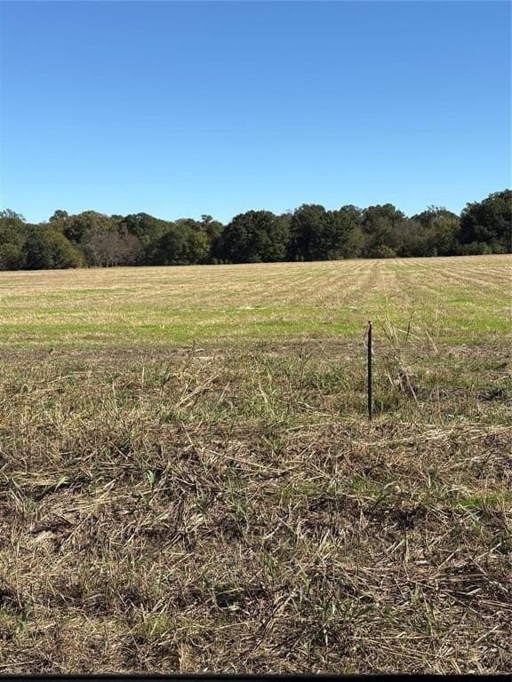 5.17 acres in Fannin County featured view