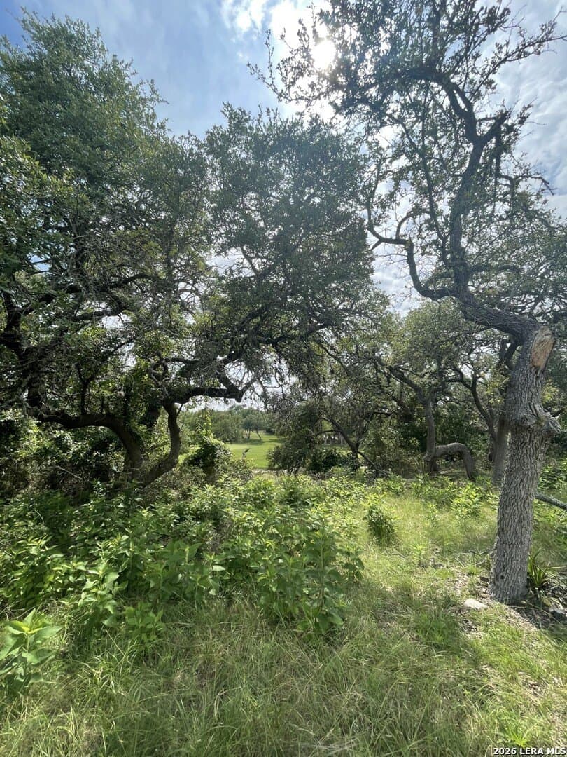 0.26 acres in Blanco County - photo 13